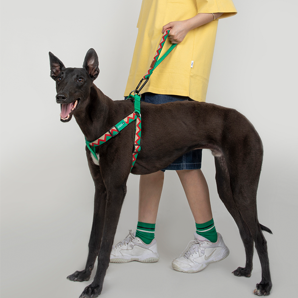 HiDREAM Dog Multifunctional Safety Short and Prolonging Leash