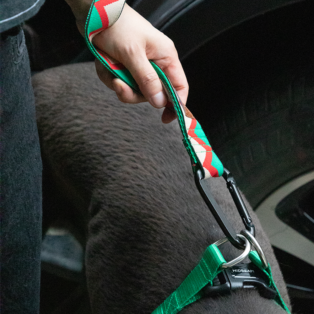 HiDREAM Dog Multifunctional Safety Short and Prolonging Leash