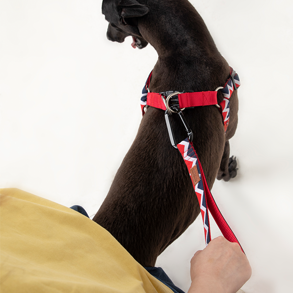 HiDREAM Dog Multifunctional Safety Short and Prolonging Leash