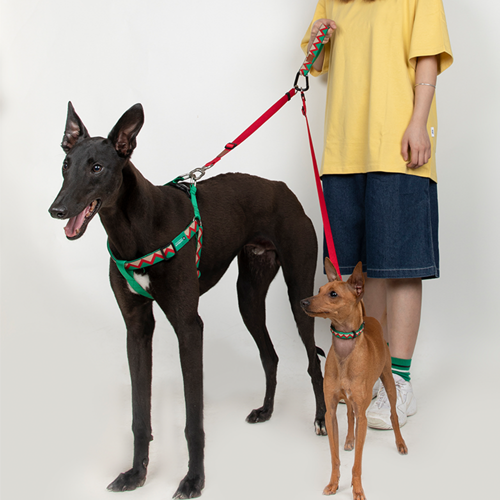 HiDREAM Dog Multifunctional Safety Short and Prolonging Leash