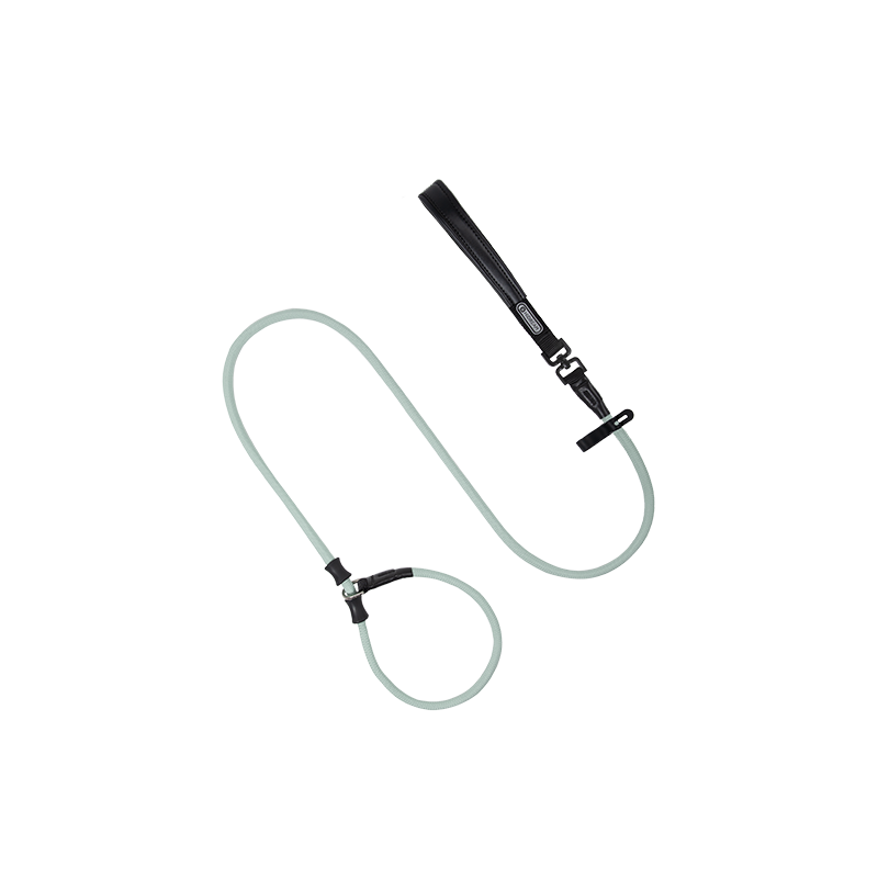 HiDREAM Dog Strap Explosion-proof Impact P Rope