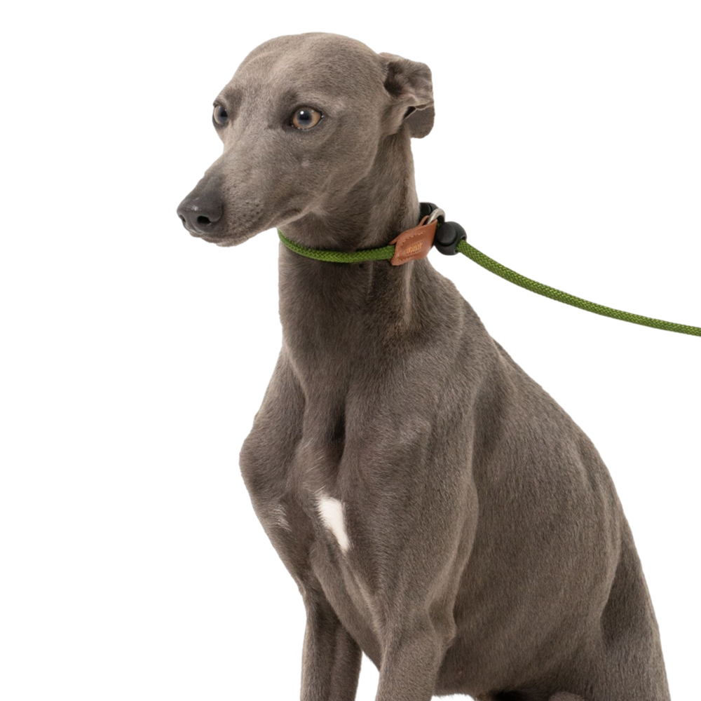 HiDREAM Dog Explosion-proof Impact Nylon Leash P Chain
