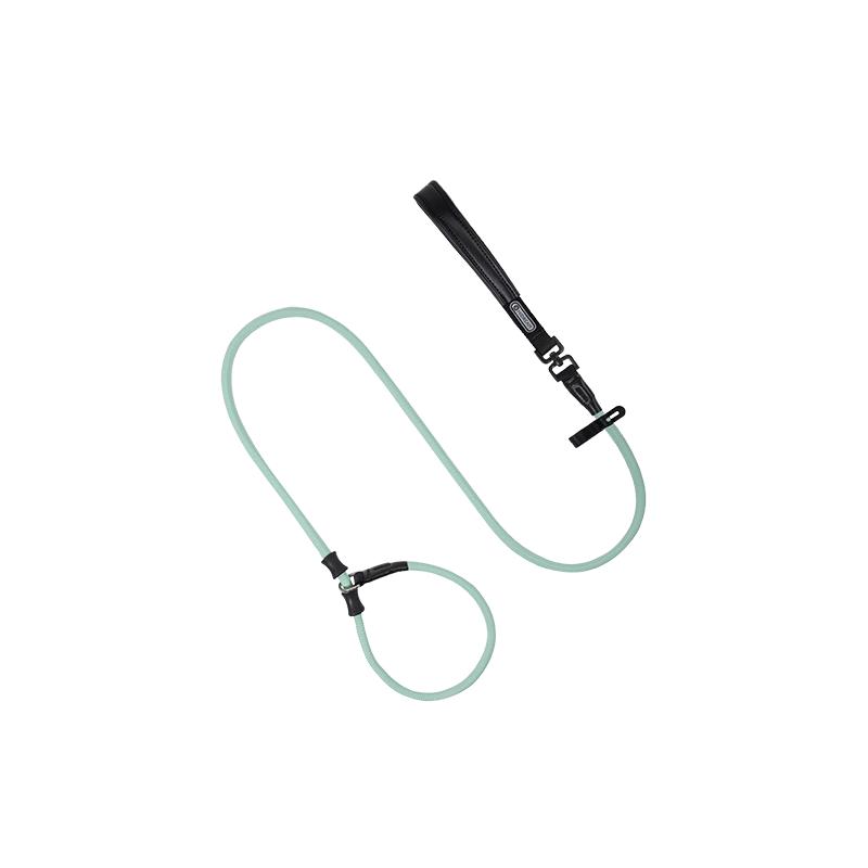 HiDREAM Dog Strap Explosion-proof Impact P Rope