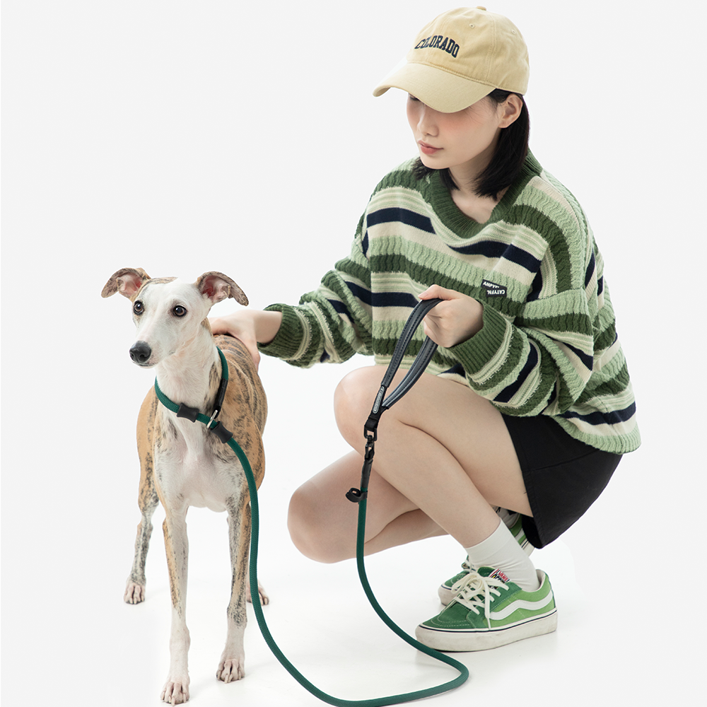 HiDREAM Dog Strap Explosion-proof Impact P Rope