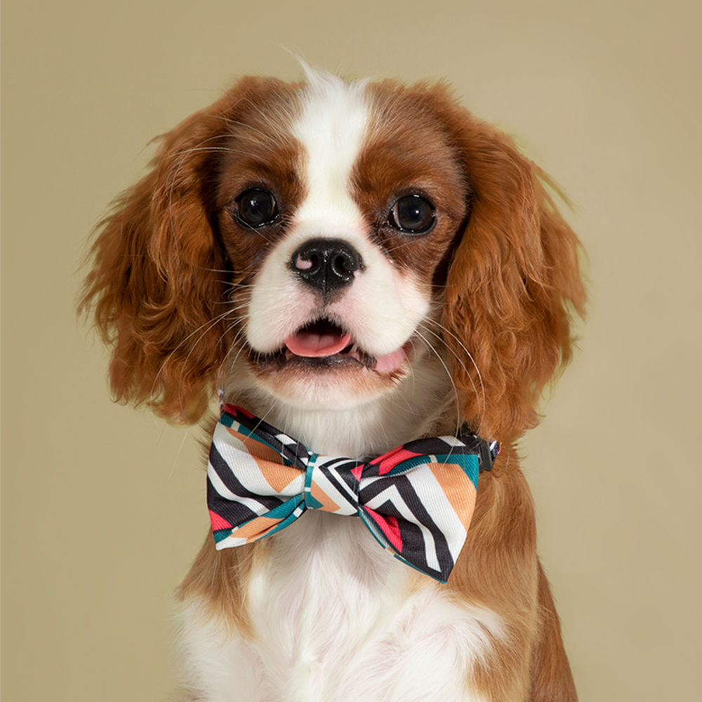 HiDREAM Dog Cute Bow Ties