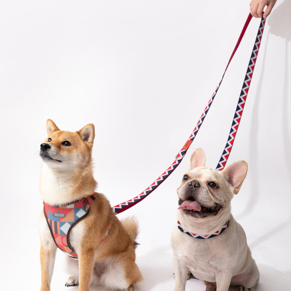 HiDREAM Dog Adjustable Double Head Nylon Leash Harness Set