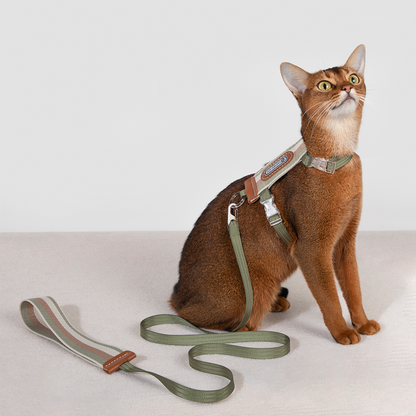 HiDREAM Cat Multifunctional Adjustable Harnesses Suspenders Set