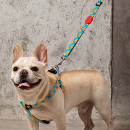 HiDREAM Soft Dog Adjustable Polyester Leash