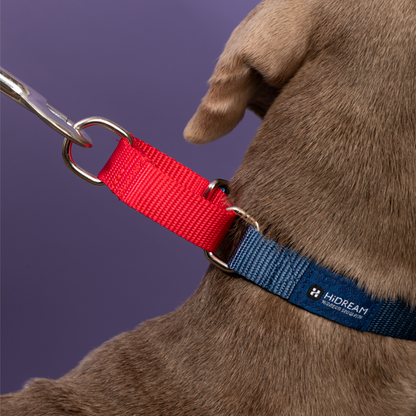 HiDREAM Dog Explosion-proof Impact Adjustable Soft Nylon Collar