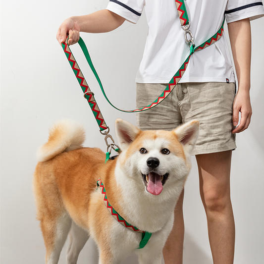 HiDREAM Dog Adjustable Double Head Nylon Leash Harness Set