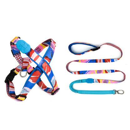 HiDREAM Dog X Type Adjustable Comfortable Safety Harnesses Set