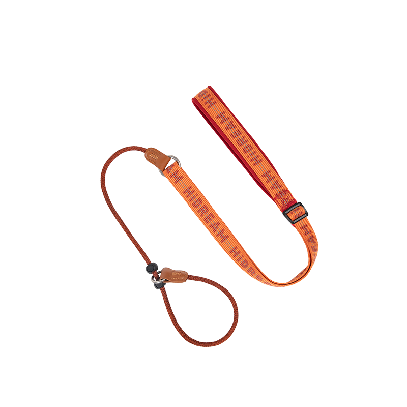 HiDREAM Dog Soft Handle Adjustable Nnylon Lead Leash